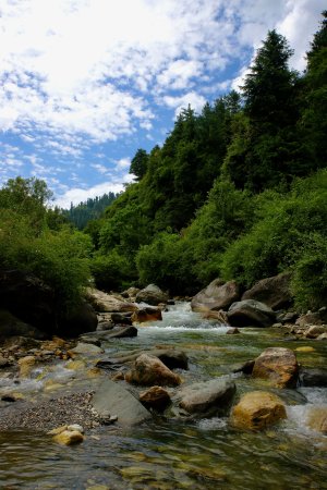 River in the mountains