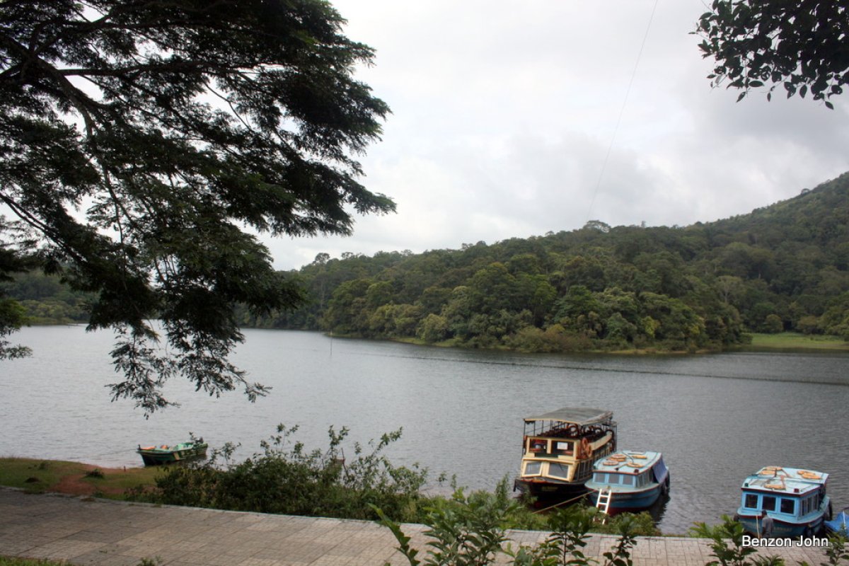 Image Listing