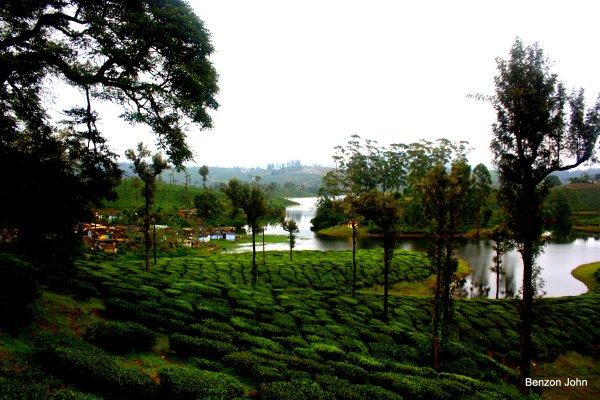 Kochi - Munnar